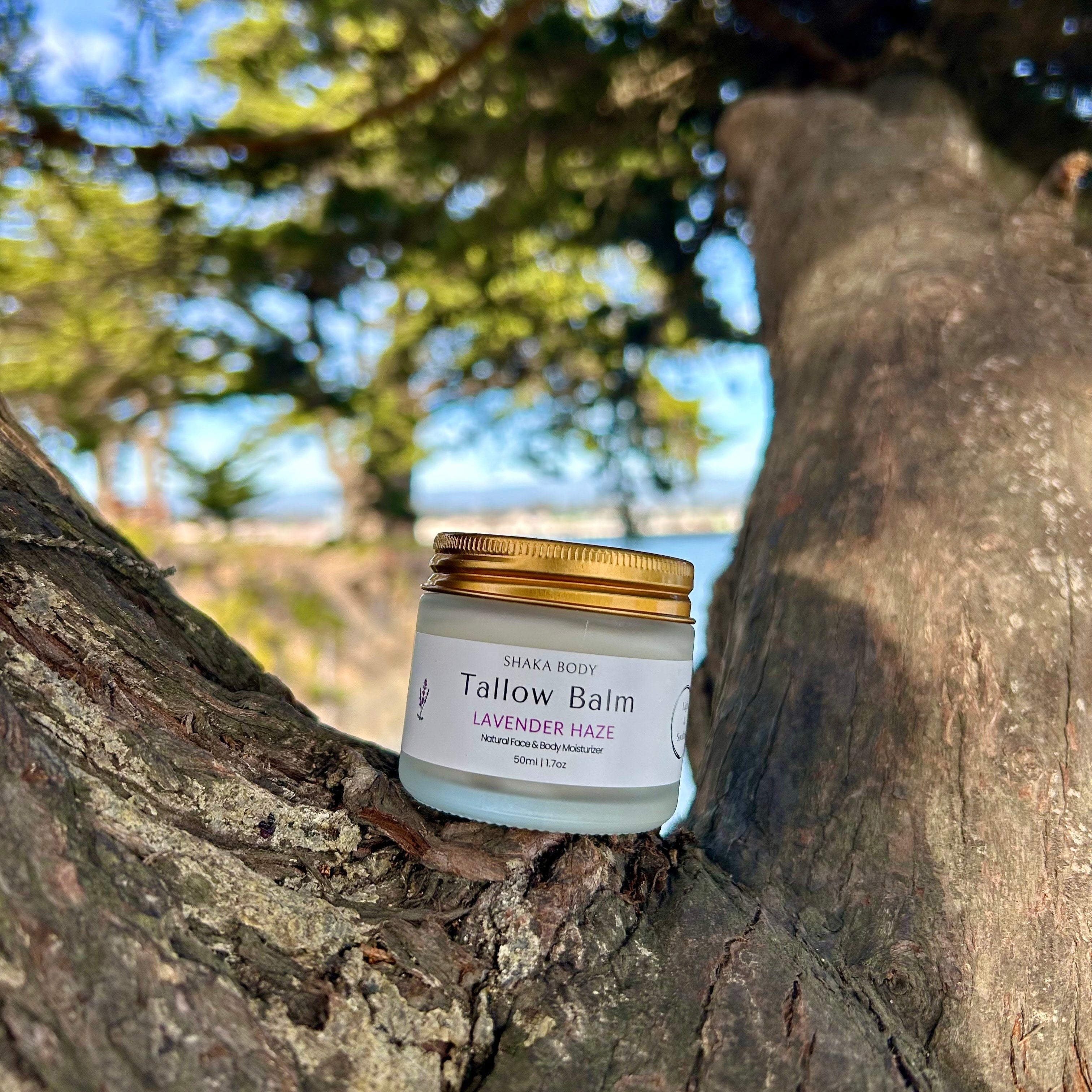 Jar of tallow balm on a tree branch with a natural background