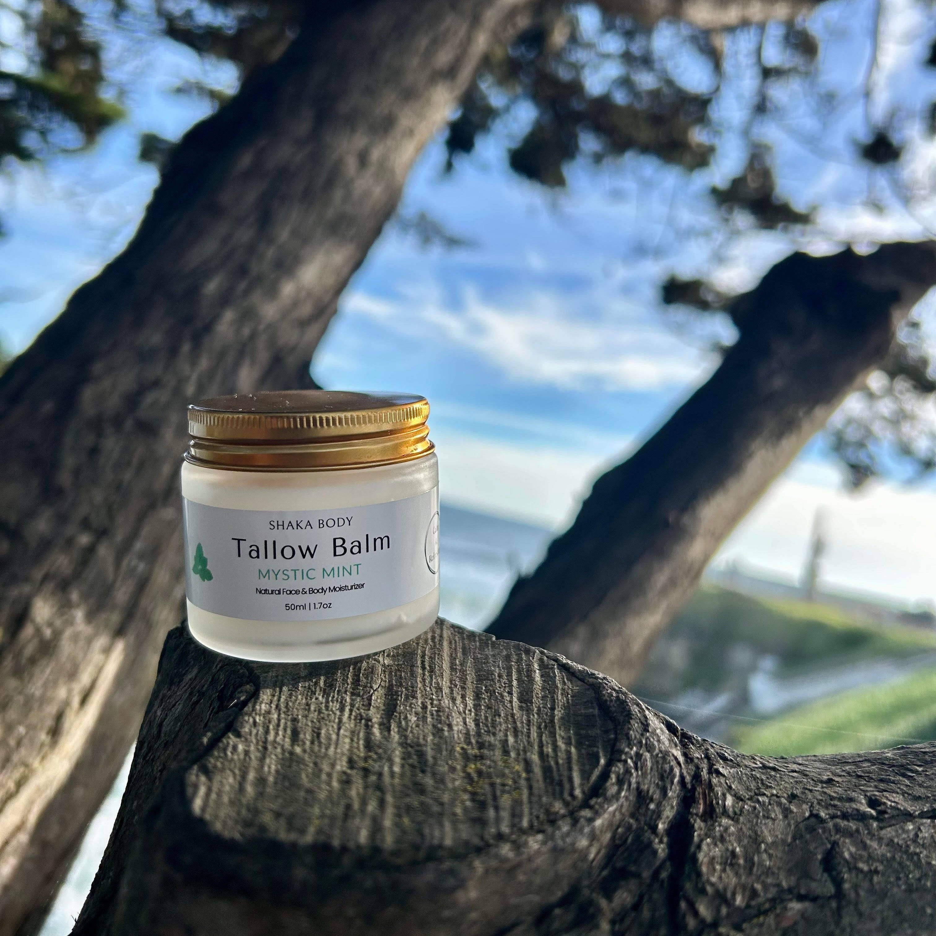 Tallow Balm jar on a tree branch with a natural background