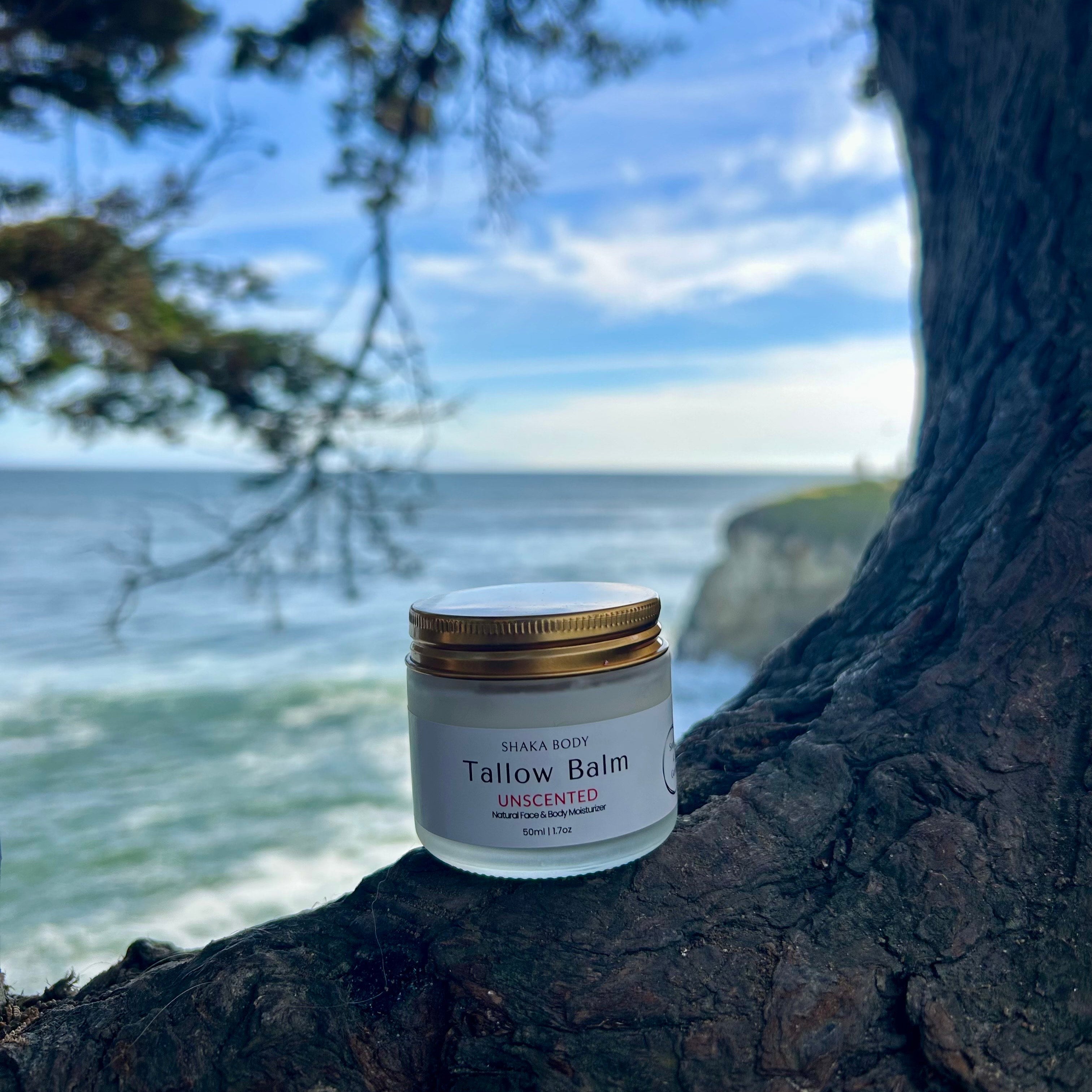 Tallow balm jar on a tree branch with ocean and sky in the background